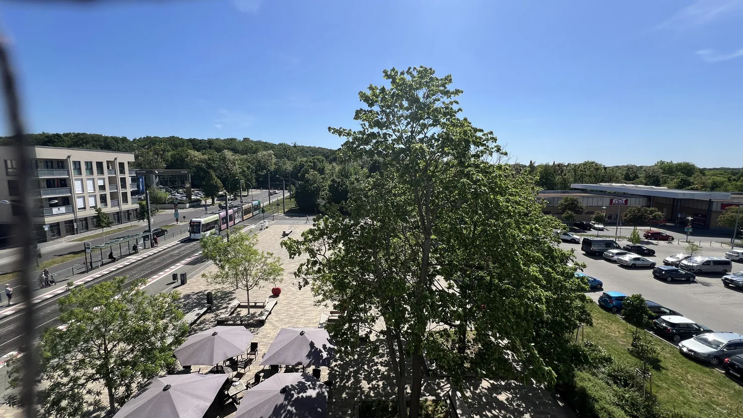 Ausblick