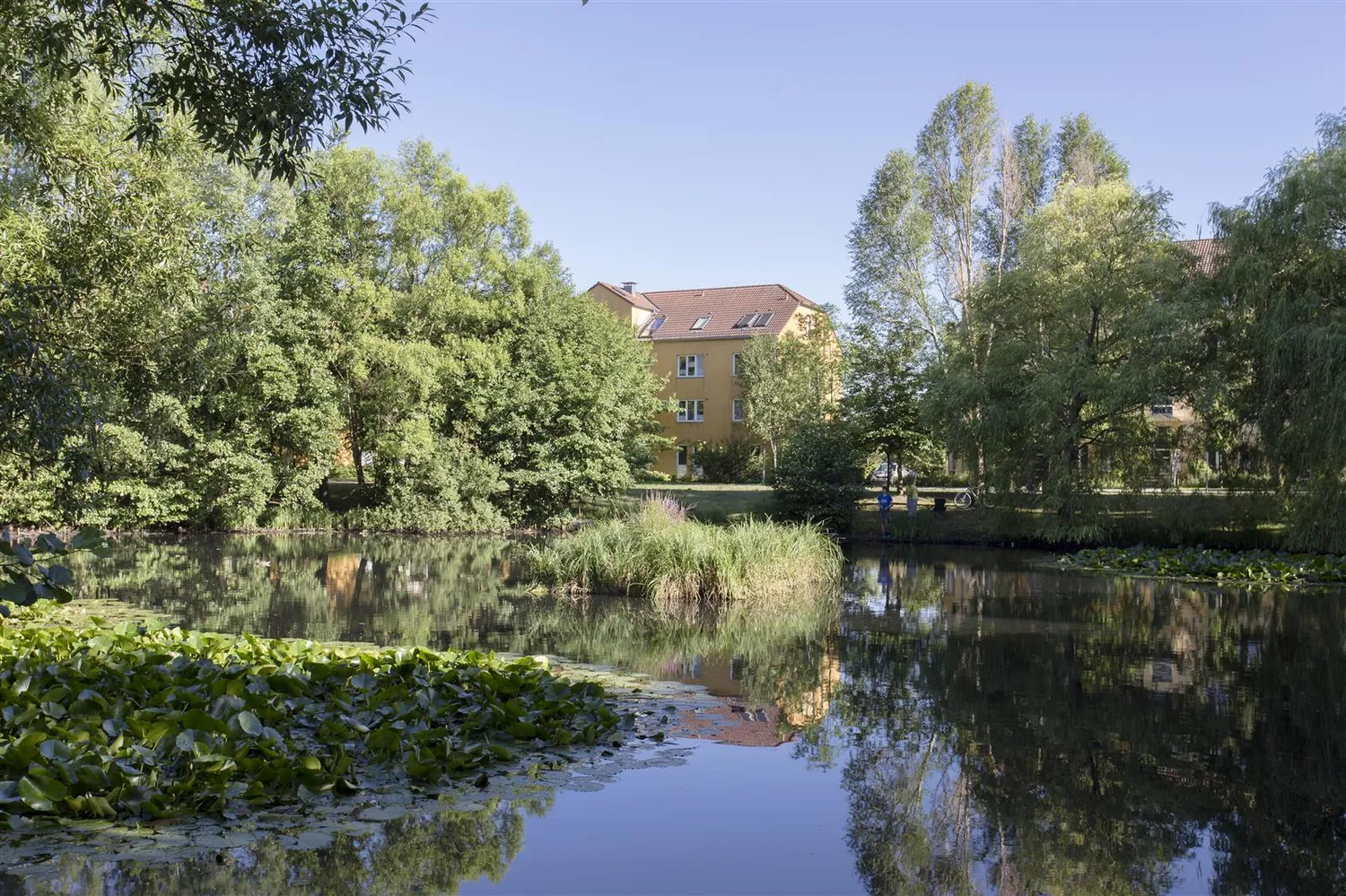 Umgebung