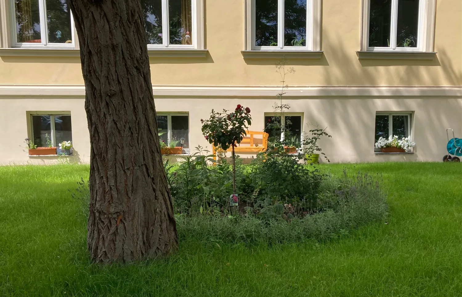 Vorgarten